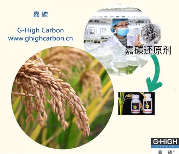 嘉碳還原劑，助力農產品增產增收