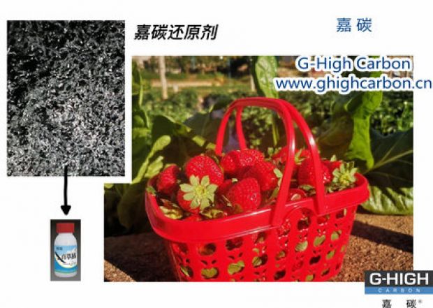 嘉碳還原劑守護“莓”好，甜蜜上線