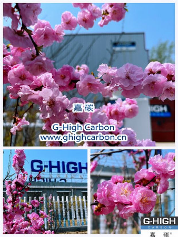 環(huán)保嘉碳，春花爛漫
