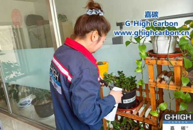 午休時光種花忙，美化辦公環(huán)境添綠意